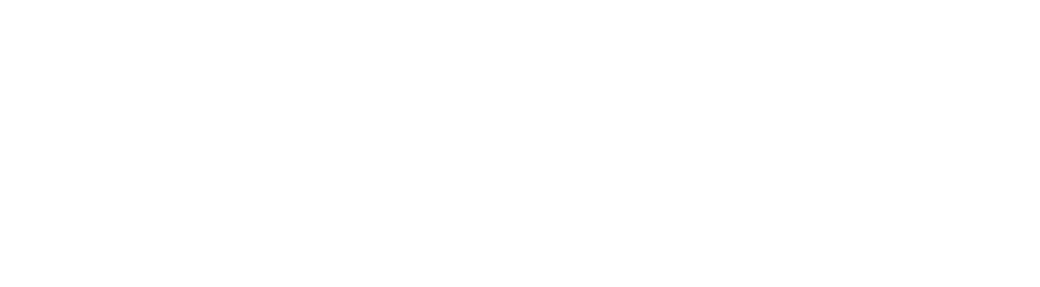 HomeVisioner Logo